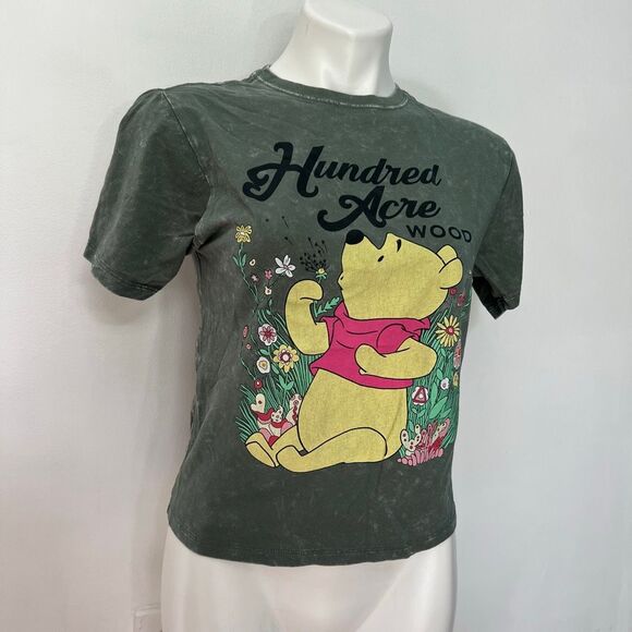 Disney Winnie the Pooh Hundred Acre Wood Graphic tee - Picture 2 of 4
